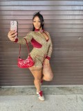 Leopard Print Stretch Long Sleeve & Shorts Set