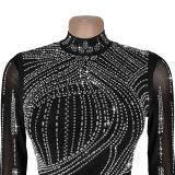Rhinestone Mesh Bodycon Dress
