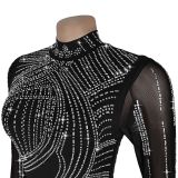 Rhinestone Mesh Bodycon Dress