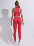 Zip-Up Sports Bra & Performance Leggings Color-Block Seamless Yoga Set