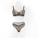 Leopard Print Luxury Lingerie Set