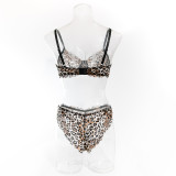 Leopard Print Luxury Lingerie Set
