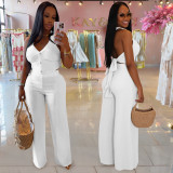 Halter Neck Tie Top & Wide-Leg Pants Ensemble