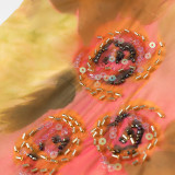 Ruffled Hem Embroidered Floral Spaghetti Strap Midi Dress