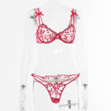 Mesh Embroidered Lace Lingerie Two-Piece Set Bra