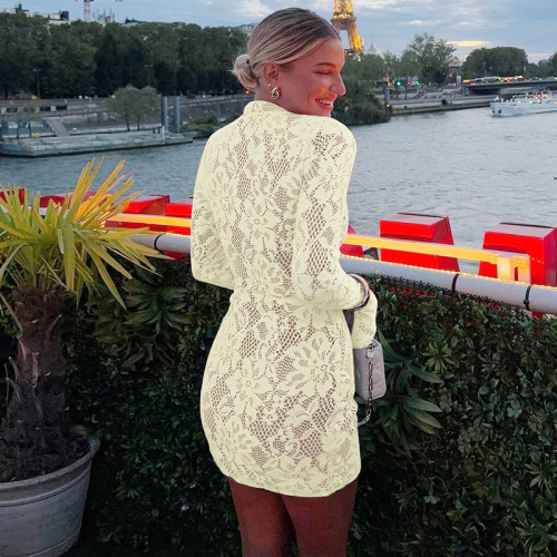 Eco-Friendly Washable Women's Lace Mini Dress