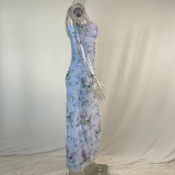 IHOOV Lini mesh maxi dress in blue floral