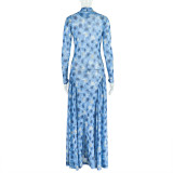 High Neck A-Line Floral Maxi Dress