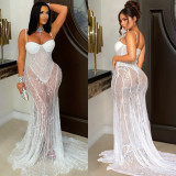 Seductive Lace Halter Neckline Sheer Evening Gown