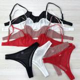 Ultra-Sheer Lingerie Set for Intimate Allure