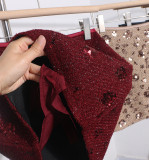 A-Line Sequin Mini Skirt