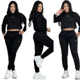 Embroidered Letter Crop Hoodie and Joggers Set