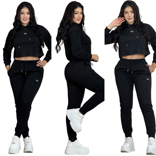 Embroidered Letter Crop Hoodie and Joggers Set