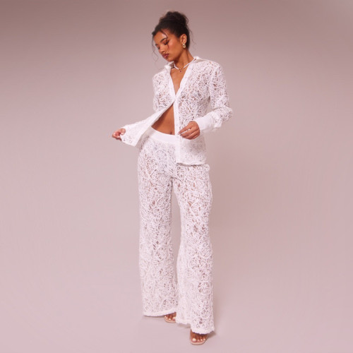 Lace Front Button Down Jacquard Bodycon Sexy Two Piece Set