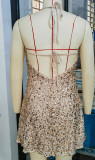 Sexy Backless Sequin Spaghetti Strap Dress