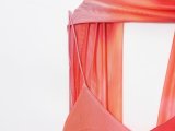 Mesh Print Long Scarf Dress