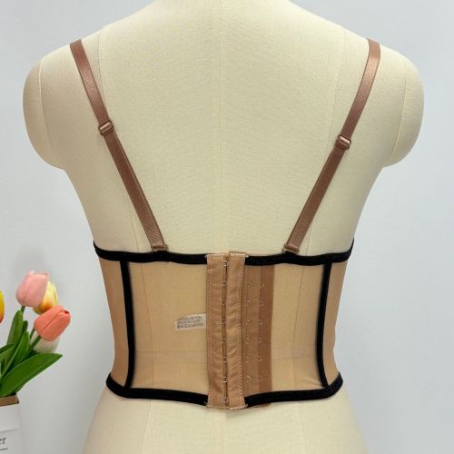 Contrast Color Sheer Backless Corset Top