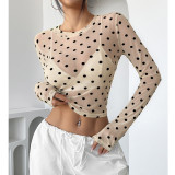 Sheer Polka Dot Mesh Slim Fit Round Neck Long Sleeve T-Shirt