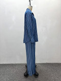 Striped Shirt & Wide Leg Pants Print Two-Piece Set