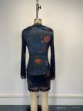 Stylish V-Neck Lace Trim Printed Long Sleeve Bodycon Mini Dress