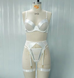 Sheer Mesh Underwire Bra and Garter Set
