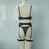 Sheer Mesh Underwire Bra and Garter Set