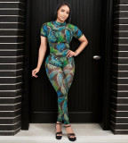 Sexy Backless Fashionable Printed Sheer Mesh Jumpsuit