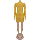 Exquisite Sheer Mesh Rhinestone Dress with Short Skirt