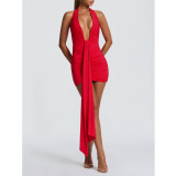 Vacation Style Backless Halter Bodycon Mini Dress