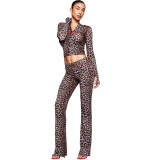 Leopard Print Hooded Long Sleeve Thumbhole Micro Flare Two-Piece Set