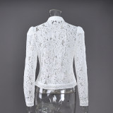 Lace Embroidered Stand Collar Slim Fit Shirt