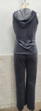 Velvet Hooded Tracksuit Set