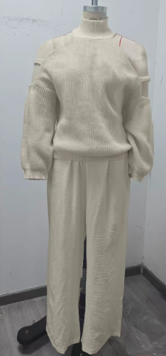 Solid Color Long Sleeve High Neck Top and Pants Set