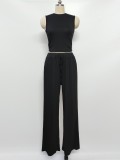 Knit Casual Sleeveless Round Neck Fitted Crop Top and Wide-Leg Pants Set