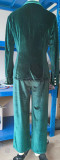 Luxury Double-Breasted Velvet Two-Piece Suit