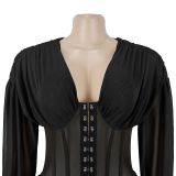 Sexy V-Neck Sheer Mesh Mini Dress -
