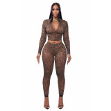 Half High Neck Zipper Cropped Long Sleeve Tight Pants Set
