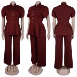 Elegant Commuter Puff Sleeve Asymmetrical Button Two-Piece Set