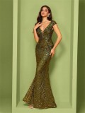 Sequin Embroidered Mermaid Dress