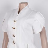 Elegant Commuter Puff Sleeve Asymmetrical Button Two-Piece Set