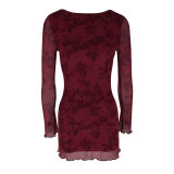 Seductive Mesh Floral Round Neck Long Sleeve Dress