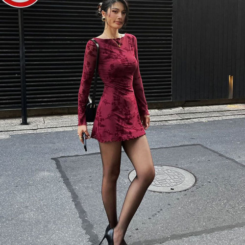 Seductive Mesh Floral Round Neck Long Sleeve Dress