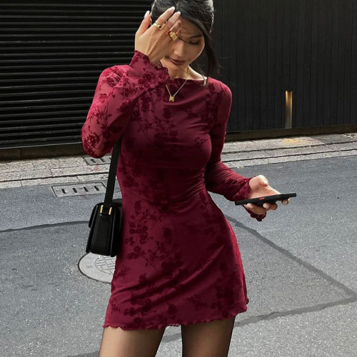Seductive Mesh Floral Round Neck Long Sleeve Dress