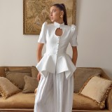 Stylish Stand Collar Puff Sleeve Waist-Cinched Shirt