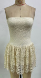 Sexy Lace Strapless Waist-Cinched Mini Dress