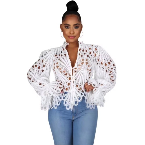 Chic Hollow Lace Stand Collar Flared Sleeve Blouse