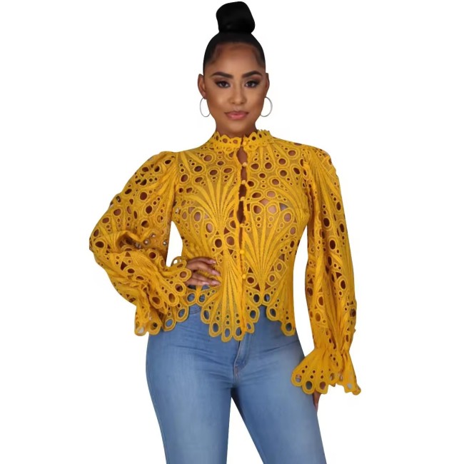 Chic Hollow Lace Stand Collar Flared Sleeve Blouse