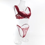 Burgundy Embroidered Deep V Lingerie Set