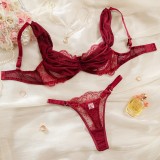 Burgundy Embroidered Deep V Lingerie Set