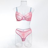 Pink Sheer Lace Intimate Set for Boutique